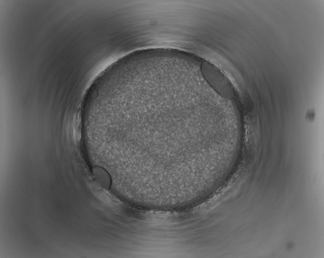 X0000116761069201001141425