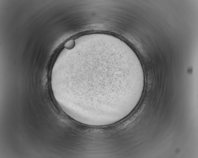 X0000116761070201001141425