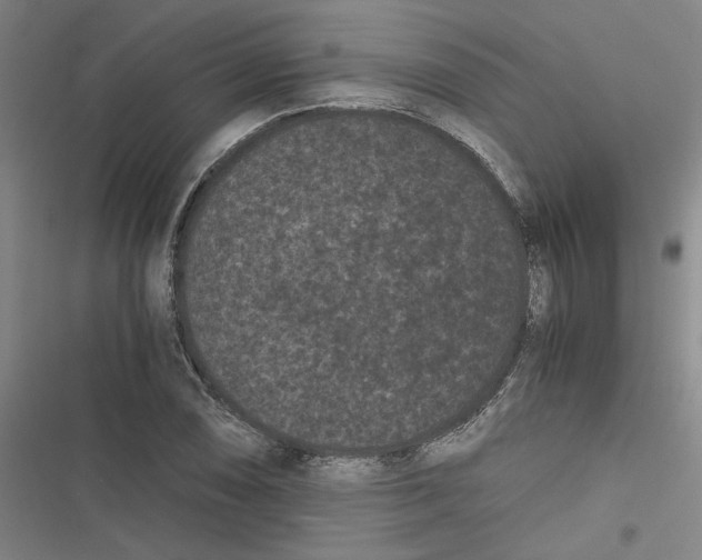 X0000116761074201001141424