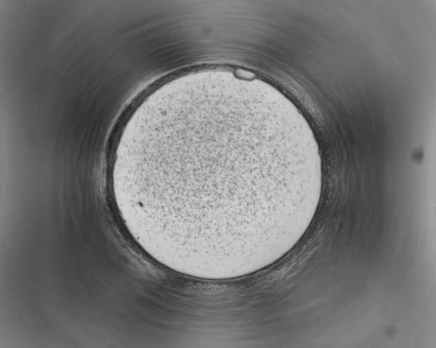 X0000116761076201001141424