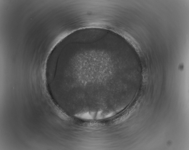 X0000116761077201001141424