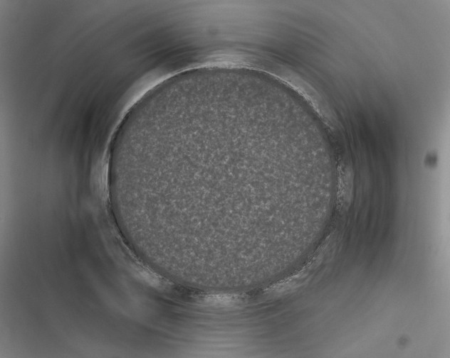 X0000116761078201001141424