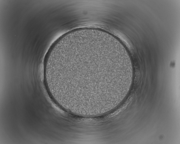 X0000116761079201001141424