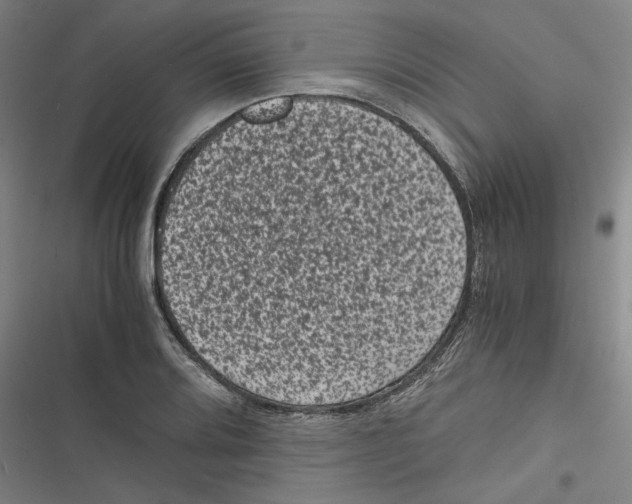 X0000116761080201001141424