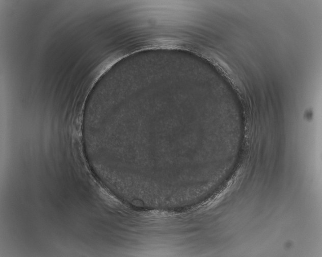 X0000116761081201001141424