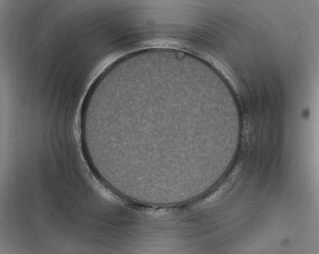 X0000116761082201001141424