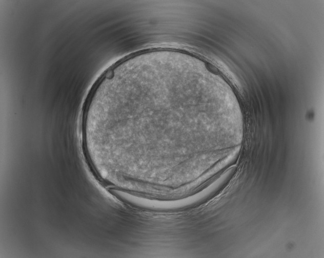 X0000116761084201001141424