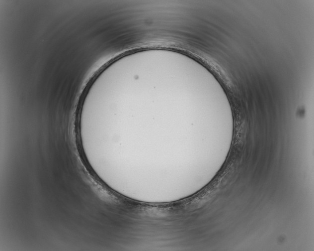 X0000116761086201001141424