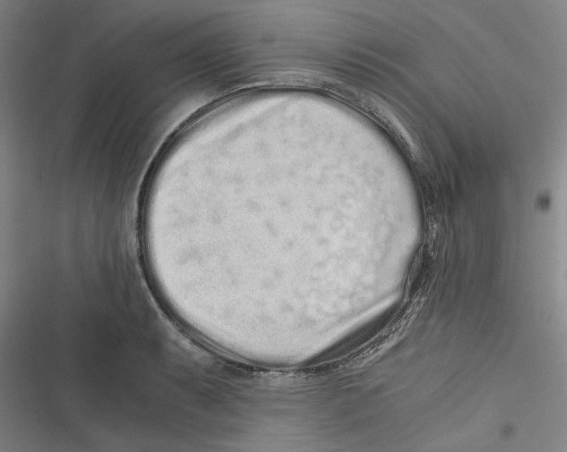 X0000116761087201001141424