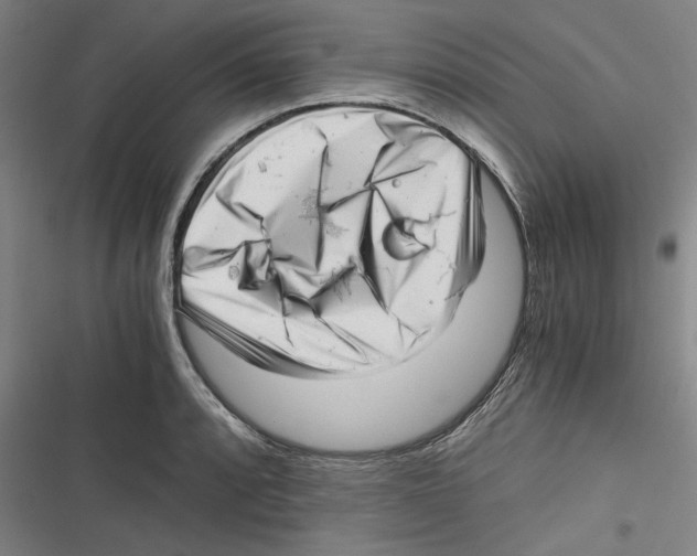 X0000116761088201001141424