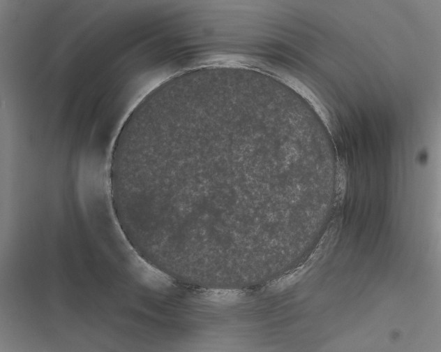 X0000116761090201001141424