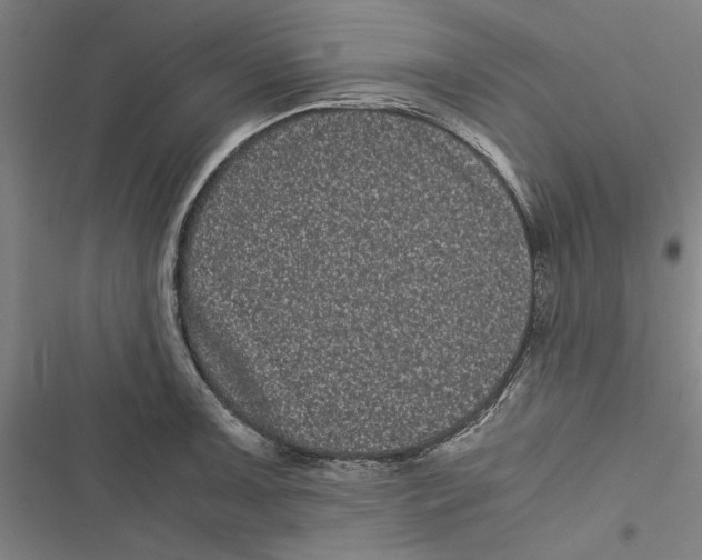 X0000116761091201001141424