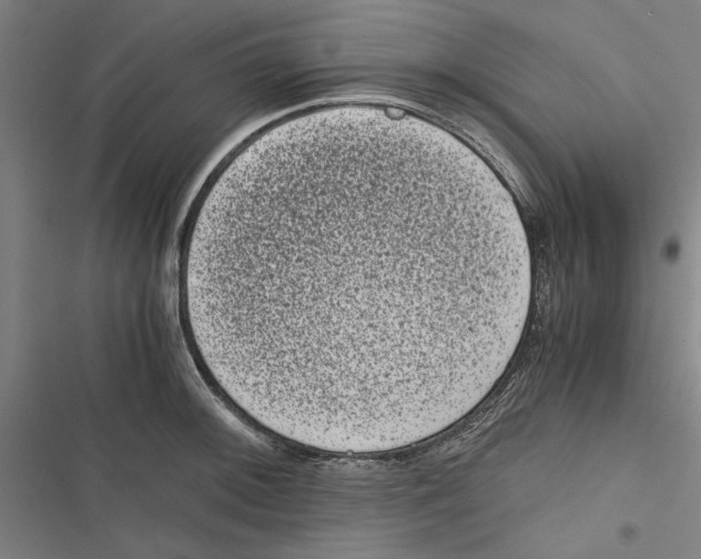 X0000116761092201001141424