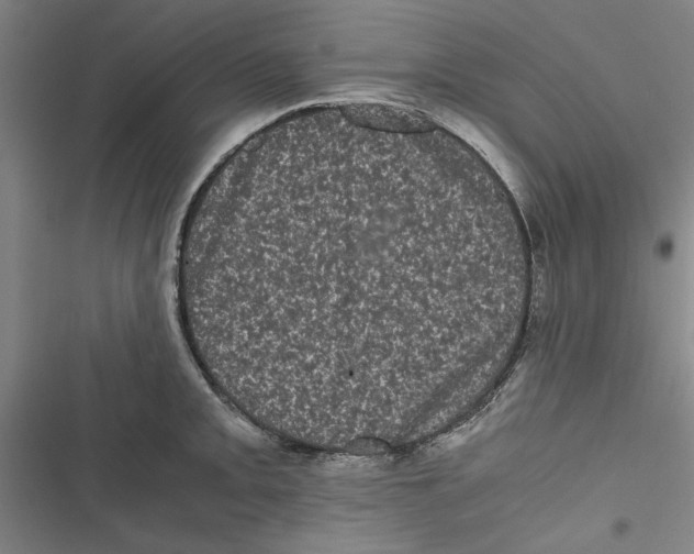 X0000116761093201001141424