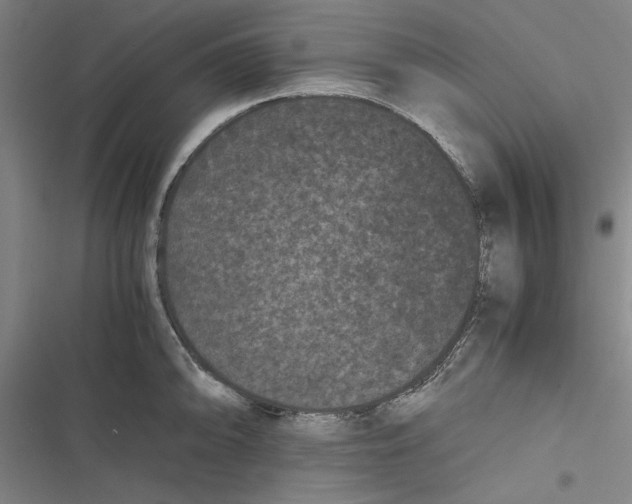 X0000116761094201001141424