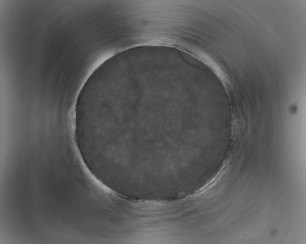 X0000116761095201001141424