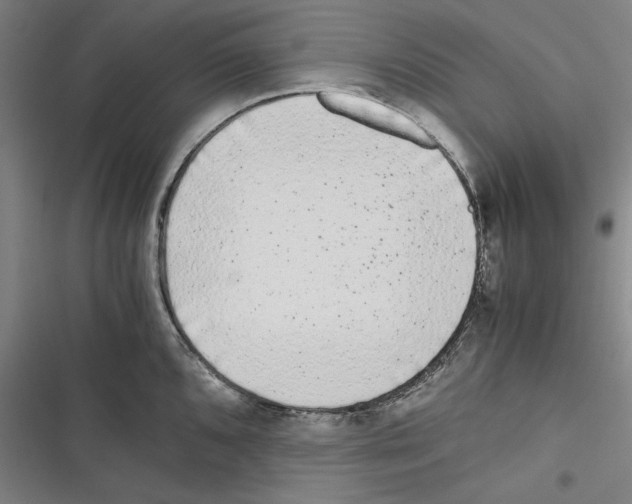 X0000116761096201001141424