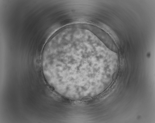 X0000116761097201001141424