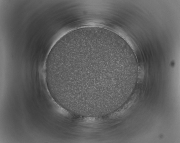 X0000116761098201001141424