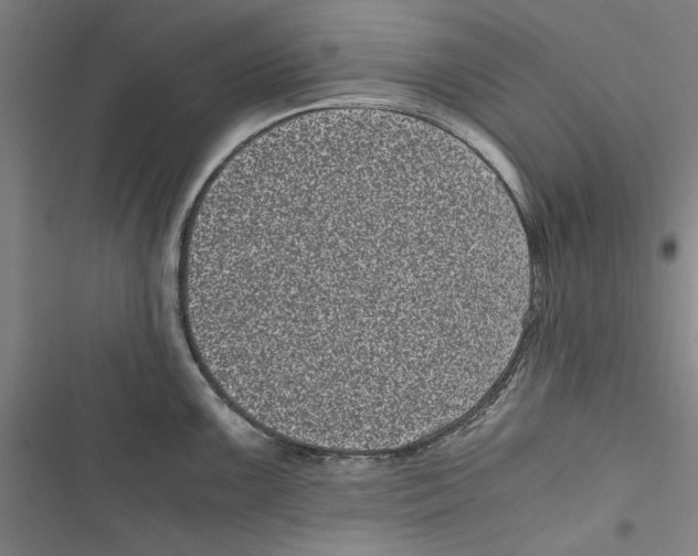 X0000116761099201001141424