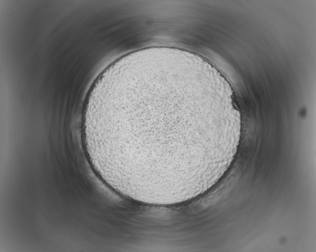 X0000116761100201001141424