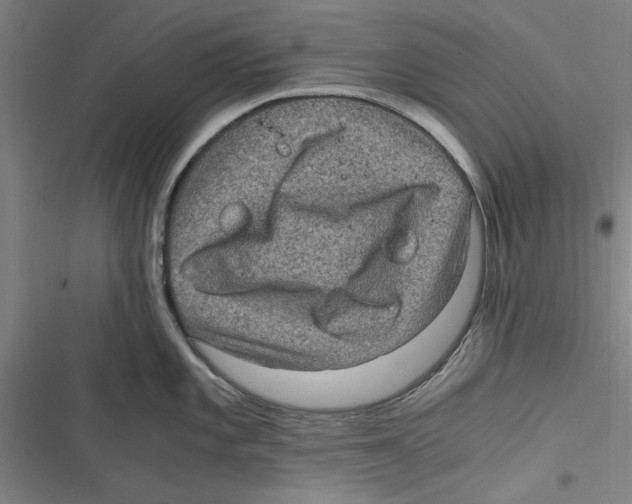 X0000116761101201001141424