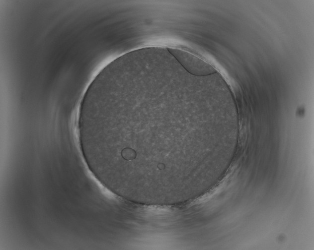 X0000116761103201001141424