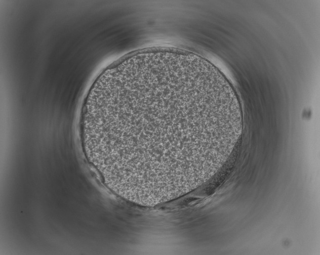 X0000116761104201001141424