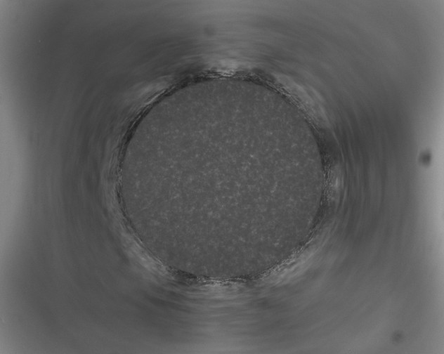 X0000116761105201001141423