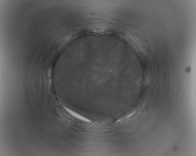 X0000116761106201001141423