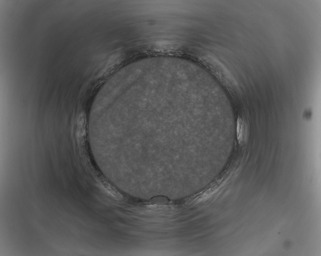 X0000116761107201001141423