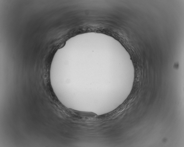 X0000116761109201001141423