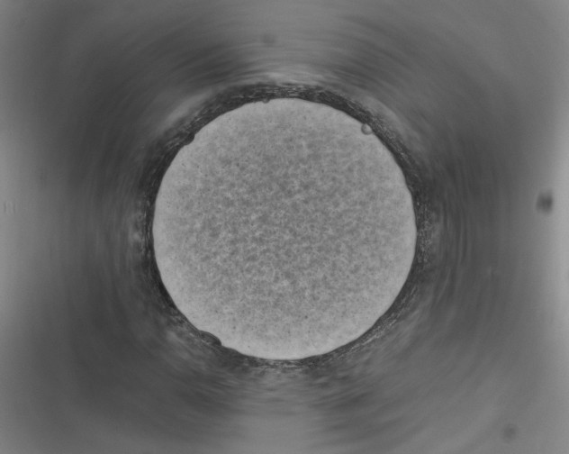 X0000116761110201001141423