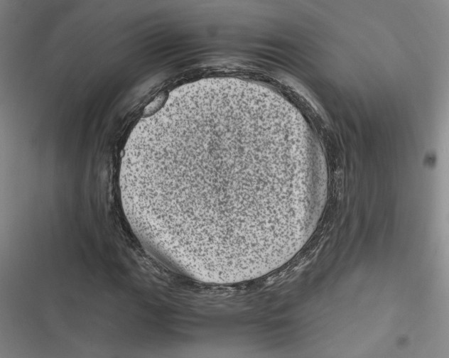 X0000116761111201001141423