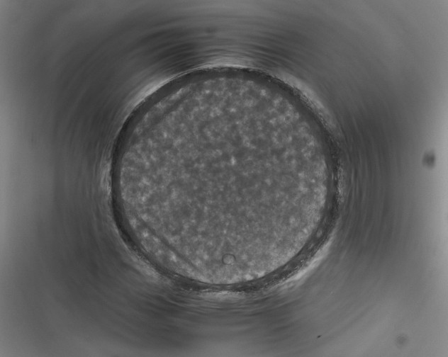 X0000116761113201001141424