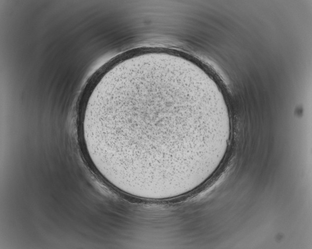 X0000116761114201001141424