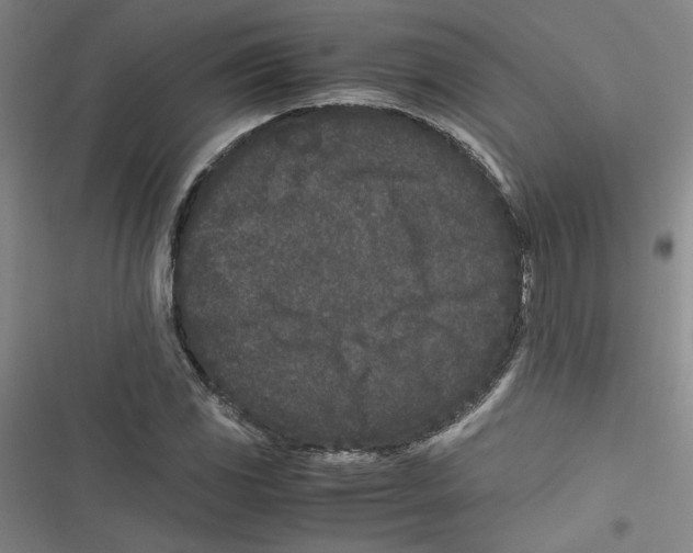 X0000116761117201001141424