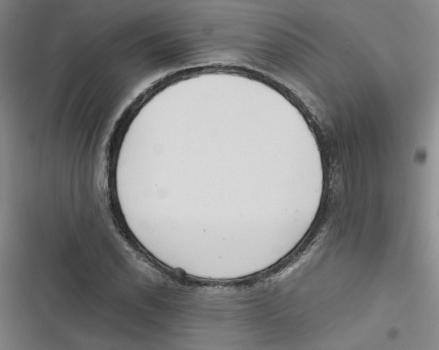 X0000116761118201001141424