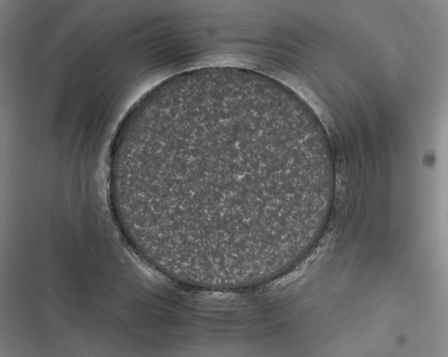 X0000116761119201001141424