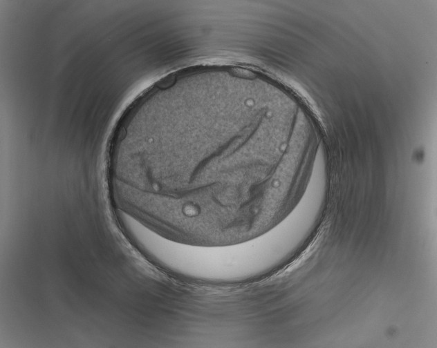 X0000116761122201001141424