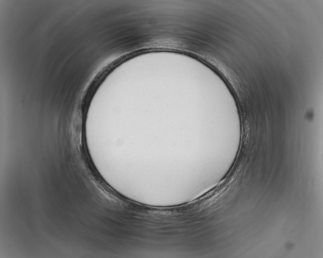 X0000116761123201001141424