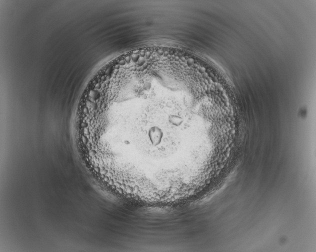 X0000116761125201001141424