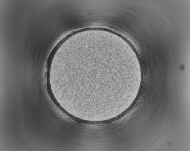 X0000116761126201001141424