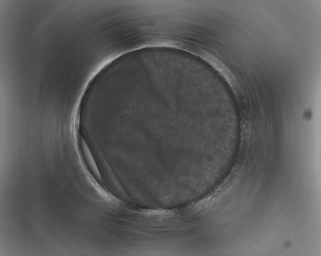 X0000116761127201001141424