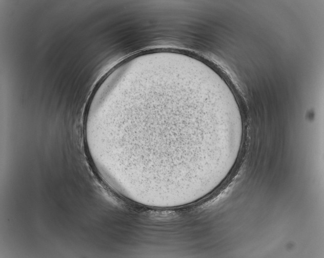 X0000116761129201001141424