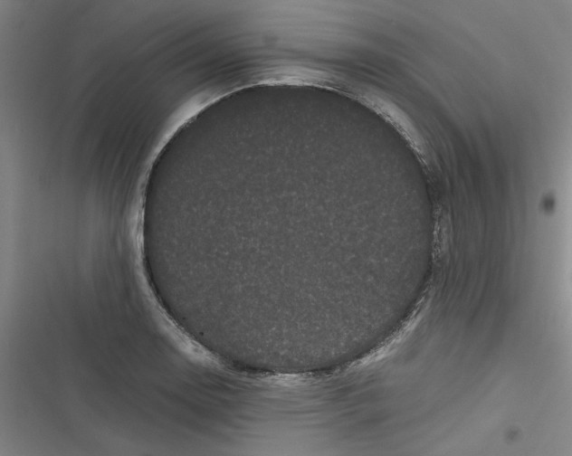 X0000116761130201001141424