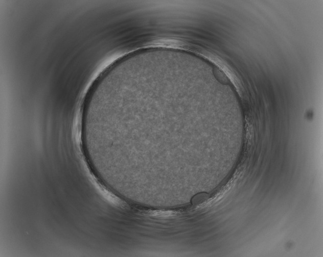 X0000116761131201001141424