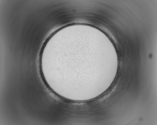 X0000116761133201001141424