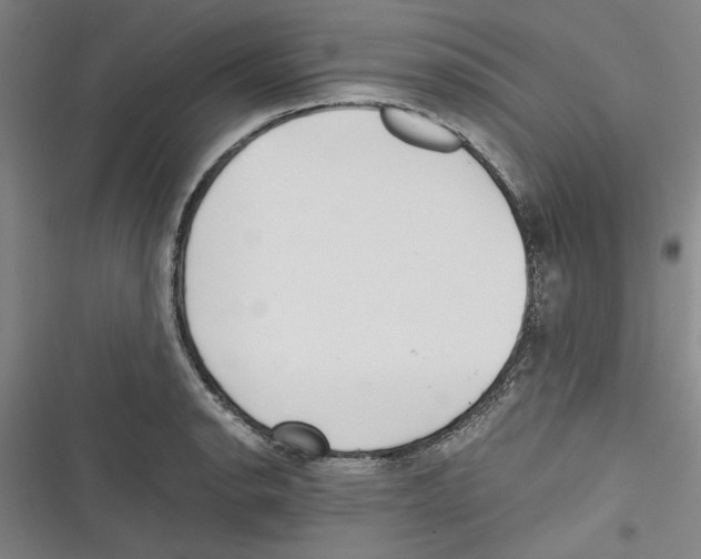 X0000116761134201001141424