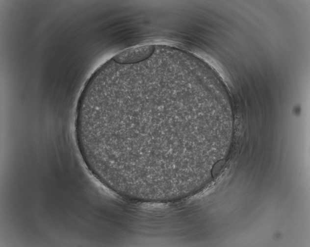 X0000116761135201001141424